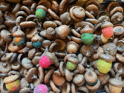 IMG_1655 (1).jpeg [sm-250]